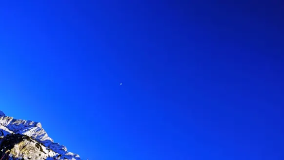 Kasyno Bet Rocker Wsparcie